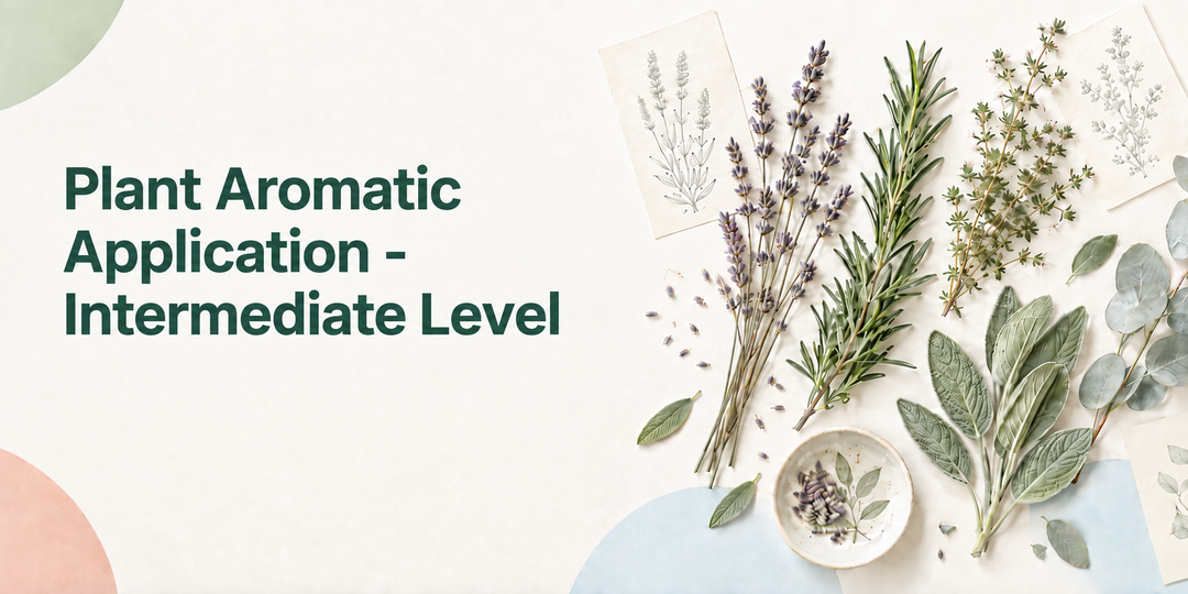 Plant Aromatic Application - Intermediate Level (English Version)